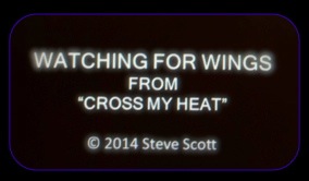 Watching for Wings video